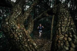 BIB: 
                            <button type="button" onclick="openModal(25693137)" class="btn btn-primary btn-sm float-right btn-popup" data-toggle="modal" data-target=".modal-high-quality">
                        <i class="fas fa-shopping-cart"></i> Add to Cart
                    </button>
                                            <button type="button" onclick="isThisMe(25693137, true)" class="btn btn-success btn-sm float-right btn-popup btn-isme hidden" data-toggle="tooltip" data-placement="bottom" title="นี่คือรูปของคุณใช่ไหม คลิกที่นี่เพื่อเอาเข้าอัลบั้ม">
                        <i class="fas fa-plus"></i> Add to album
                    </button>
                    <button type="button" onclick="isThisMe(25693137, false)" class="btn btn-warning btn-sm float-right btn-popup btn-isnotme hidden">
                        <i class="fas fa-ban"></i> Remove from album
                    </button>